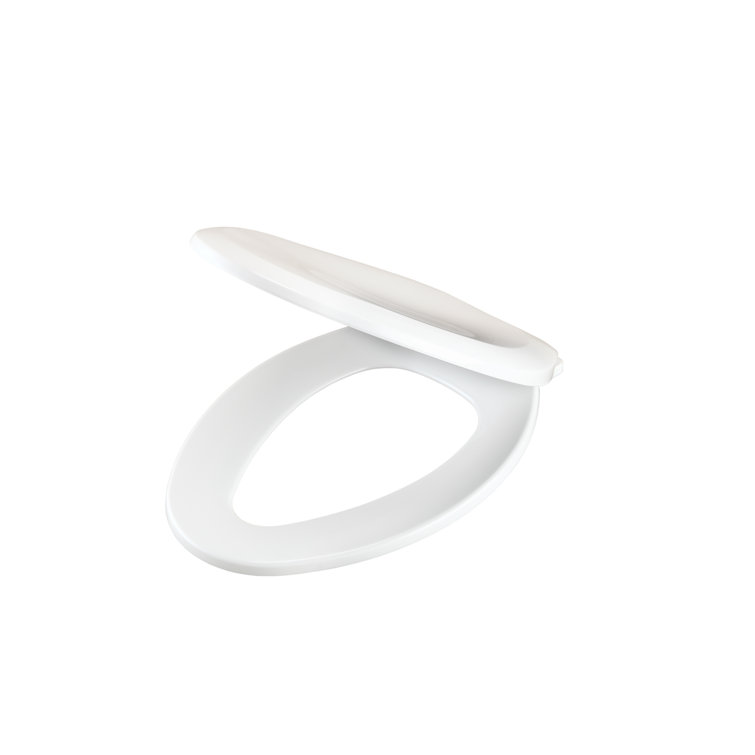 hard toilet seat